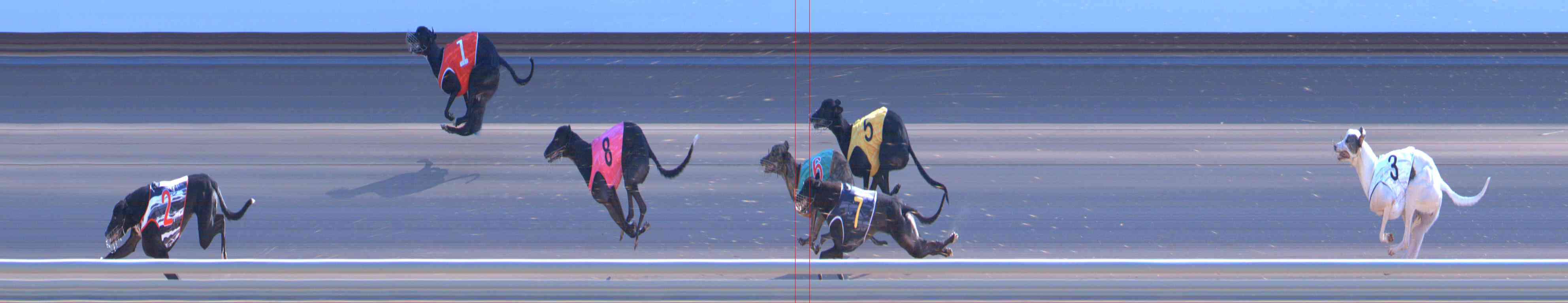 Photo finish for Healesville Race 10