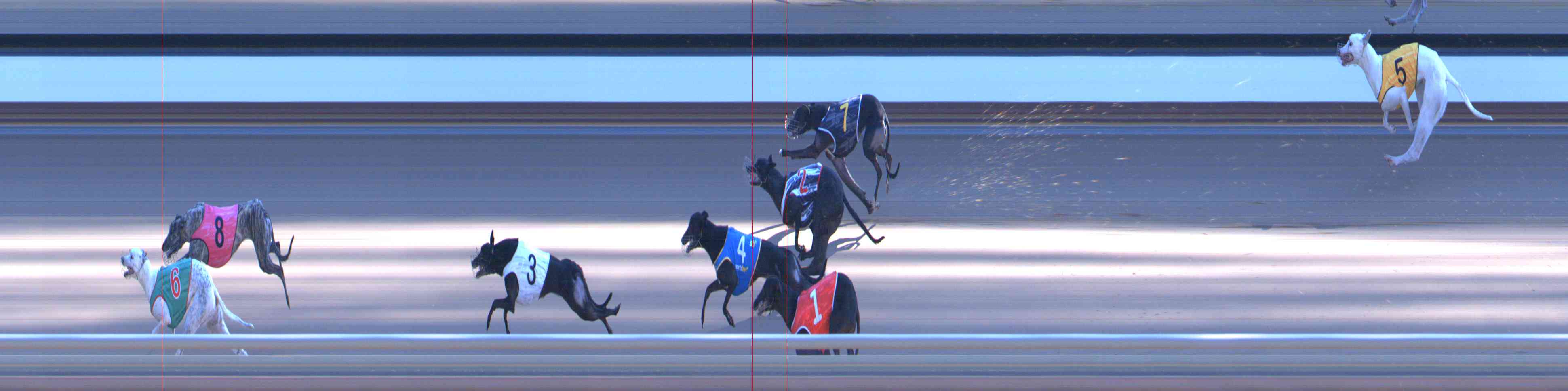 Photo finish for Healesville Race 11