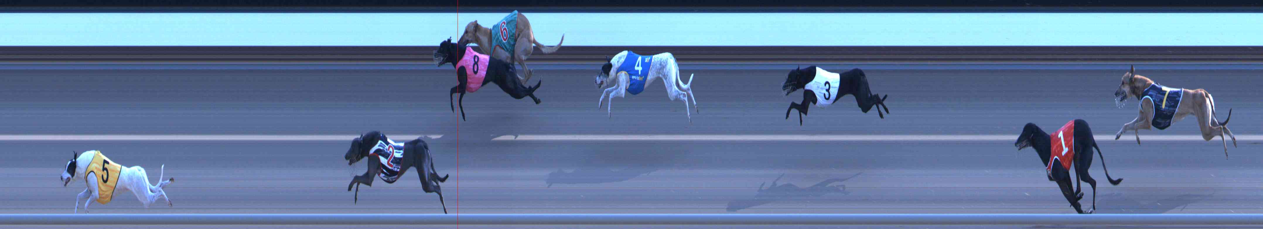 Photo finish for Healesville Race 12
