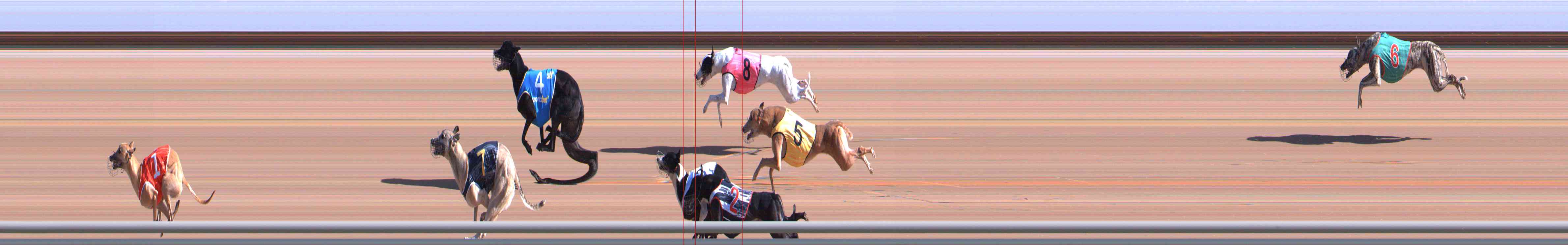Photo finish for Healesville Race 1