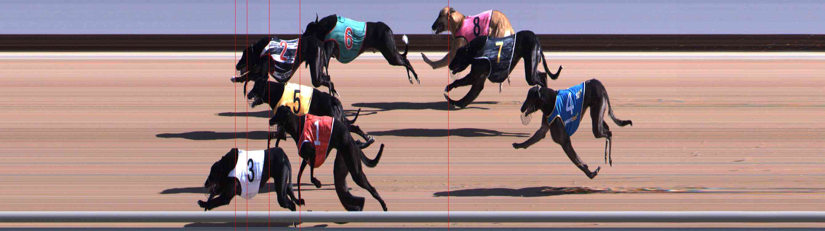 Photo finish for Healesville Race 2