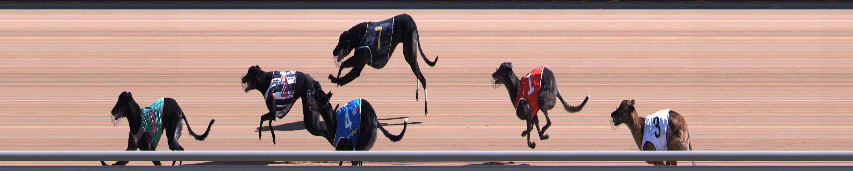 Photo finish for Healesville Race 3