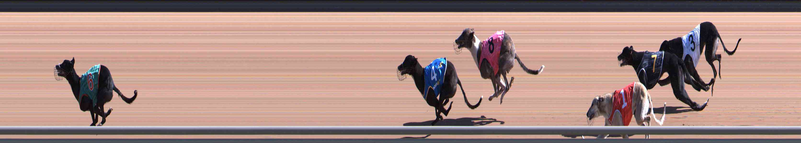 Photo finish for Healesville Race 4
