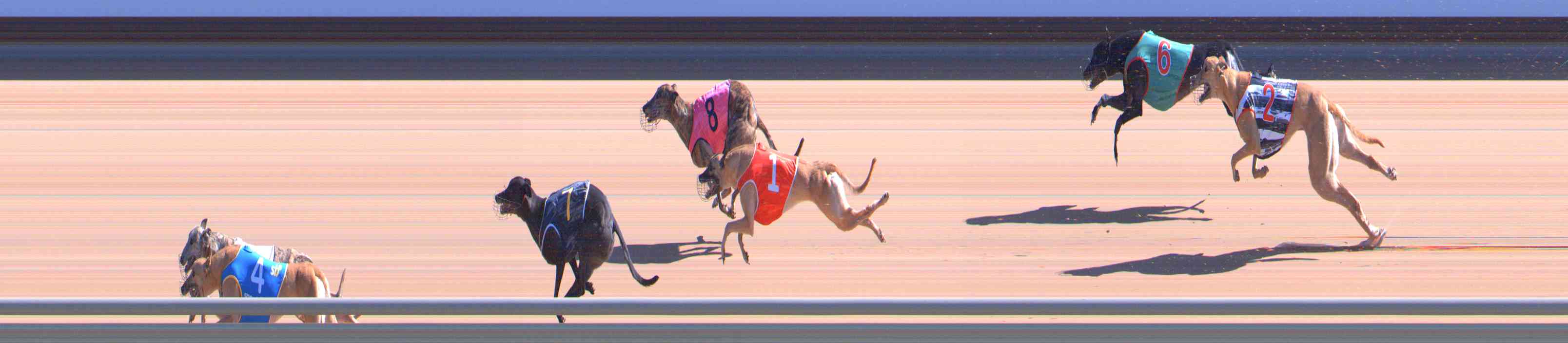 Photo finish for Healesville Race 6