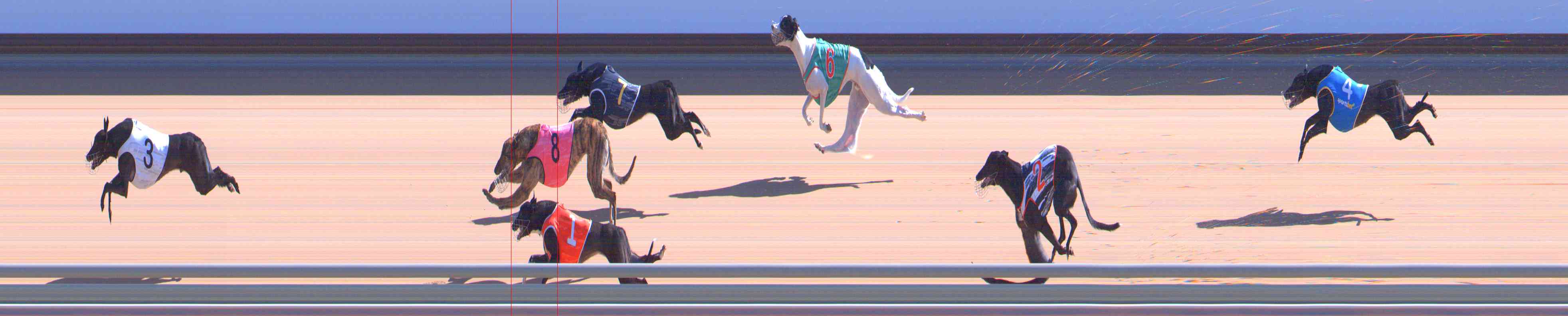 Photo finish for Healesville Race 7