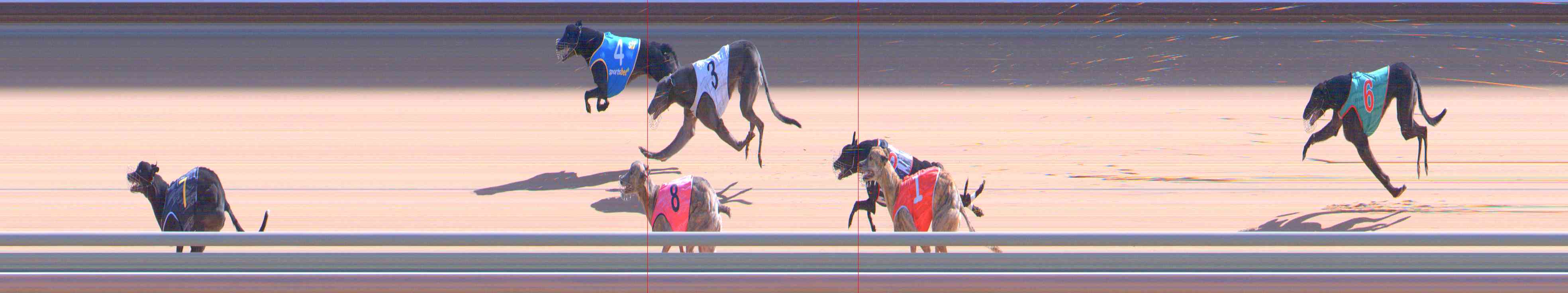 Photo finish for Healesville Race 8