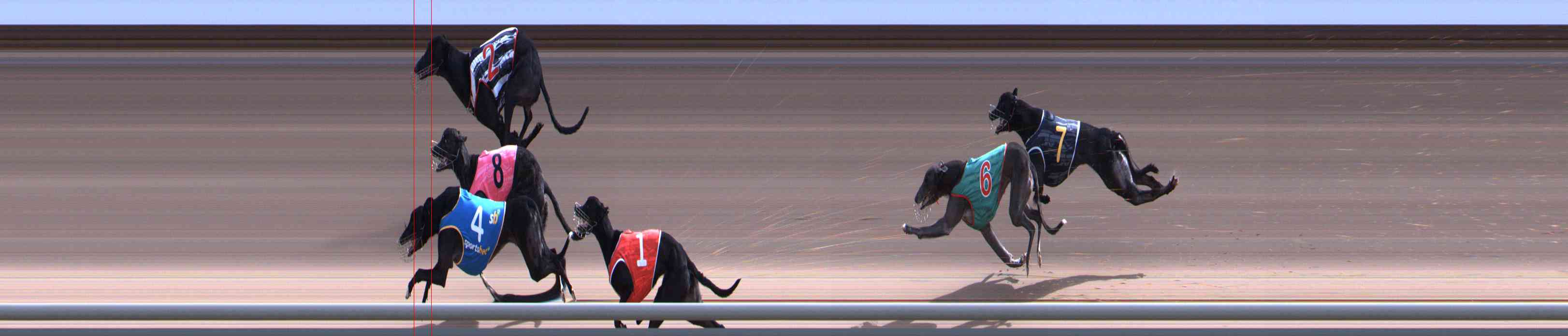 Photo finish for Healesville Race 9