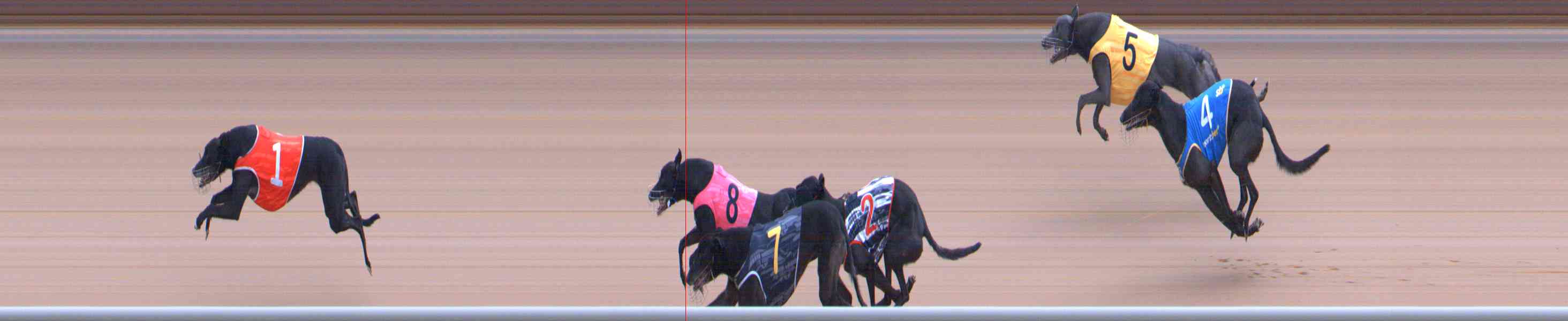 Photo finish for Healesville Race 11