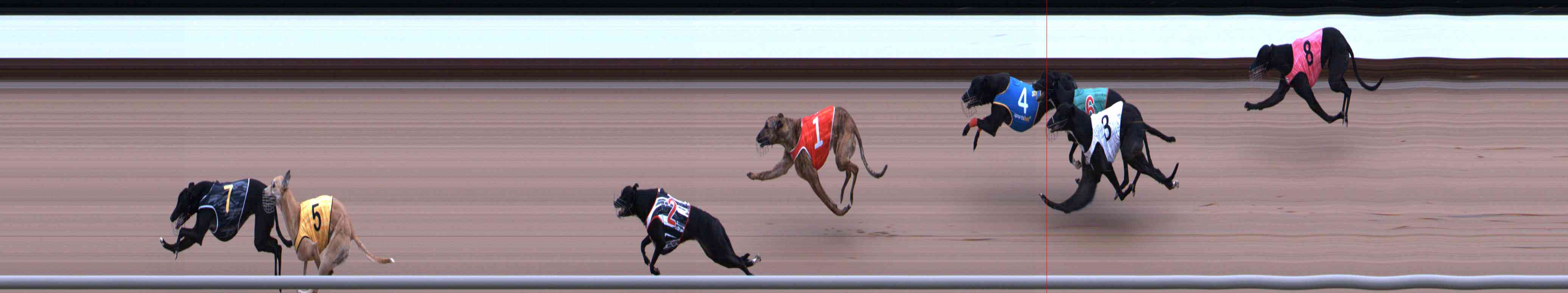 Photo finish for Healesville Race 1