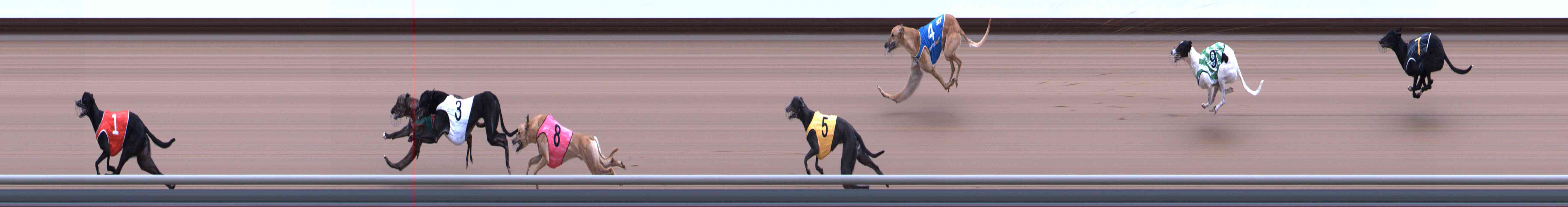 Photo finish for Healesville Race 2