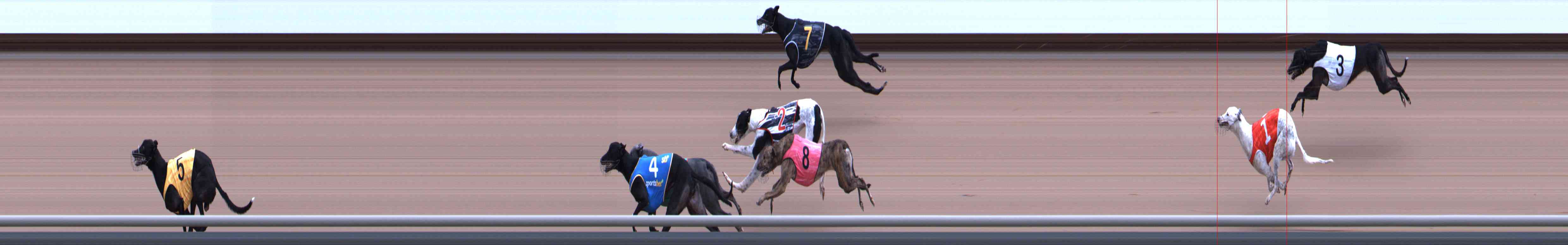 Photo finish for Healesville Race 3