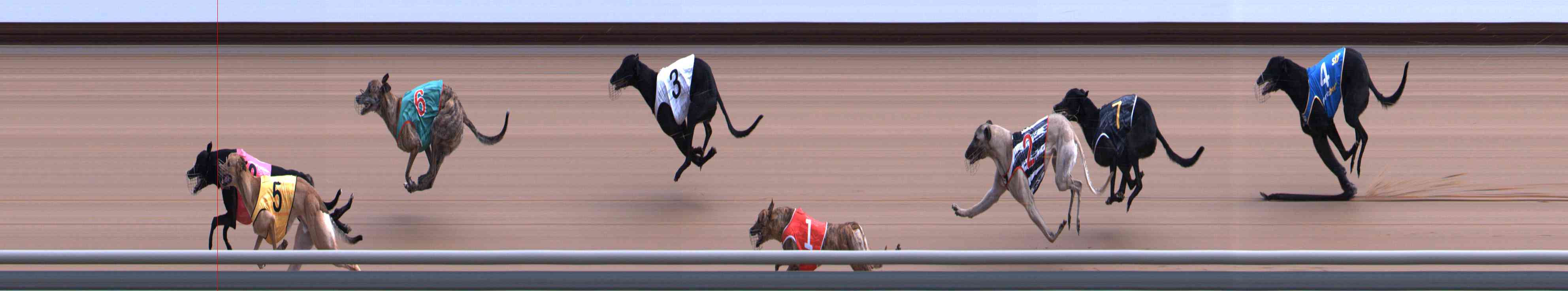 Photo finish for Healesville Race 4