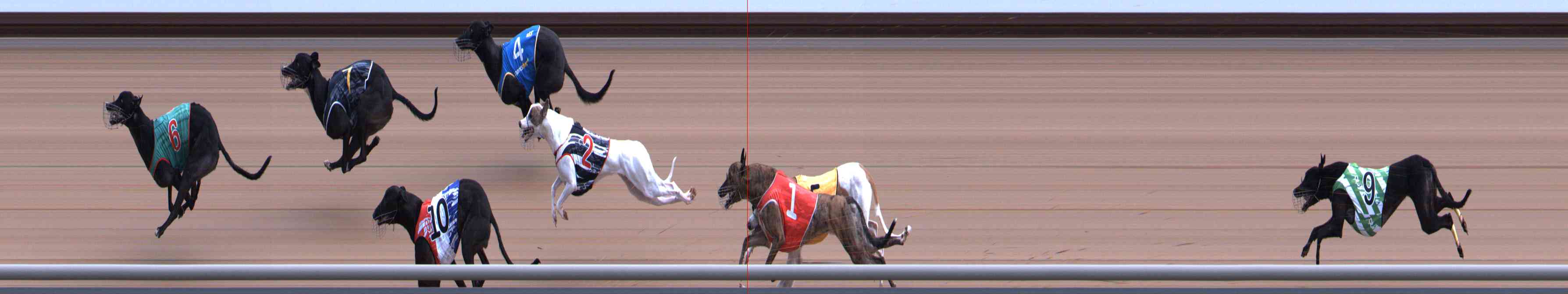 Photo finish for Healesville Race 5