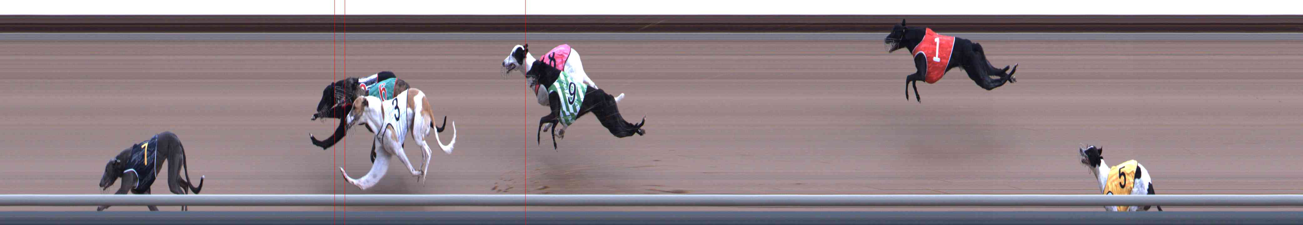 Photo finish for Healesville Race 6
