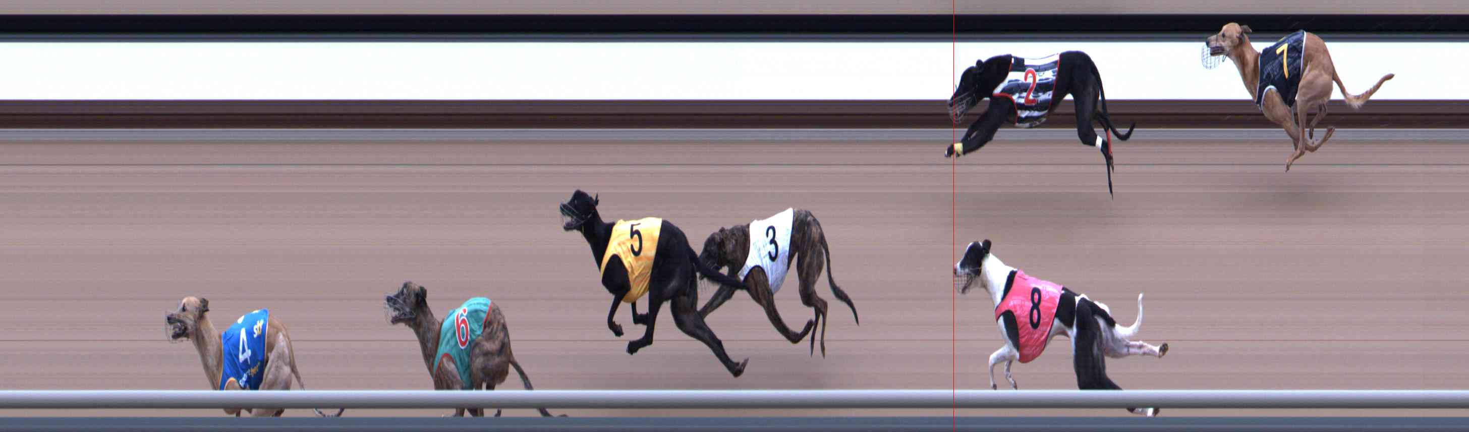 Photo finish for Healesville Race 7