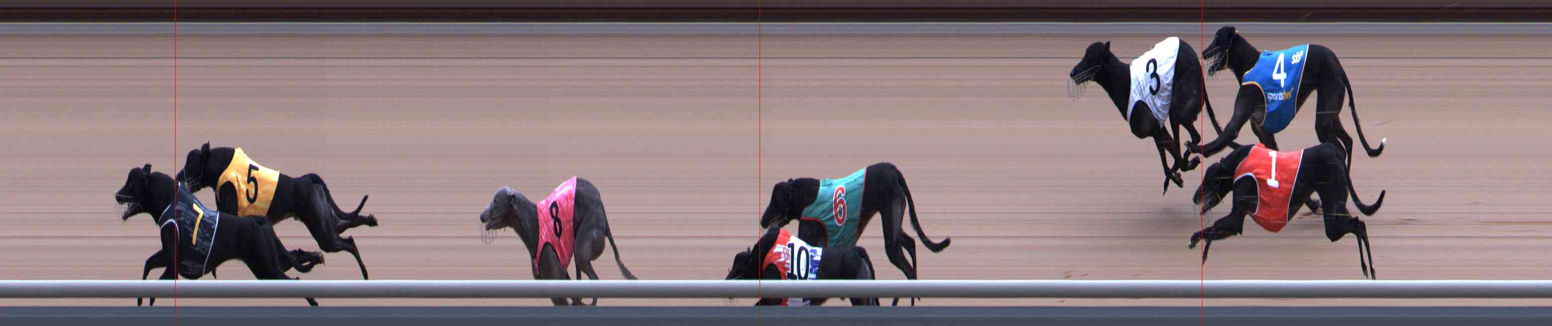 Photo finish for Healesville Race 8
