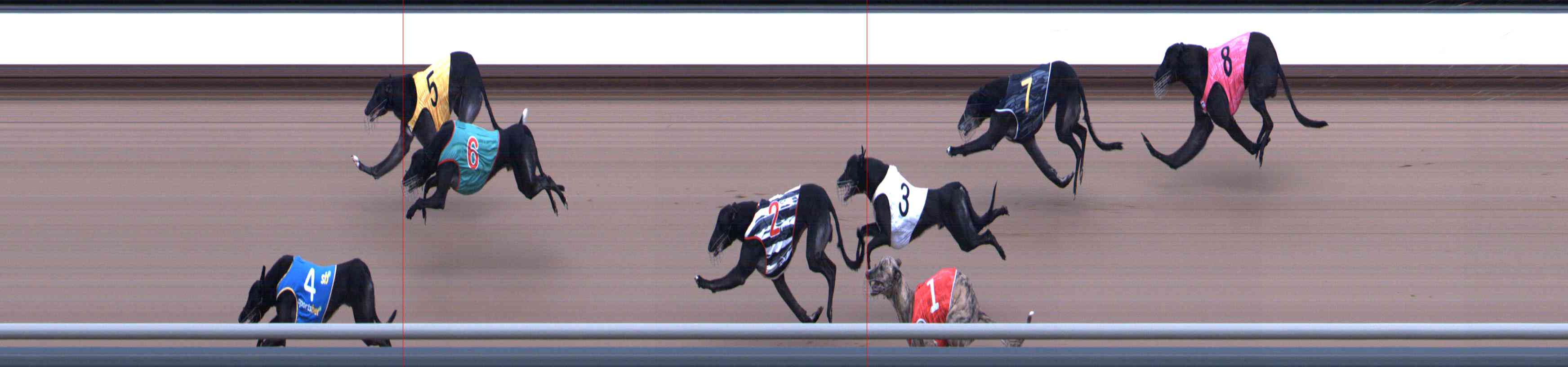 Photo finish for Healesville Race 9