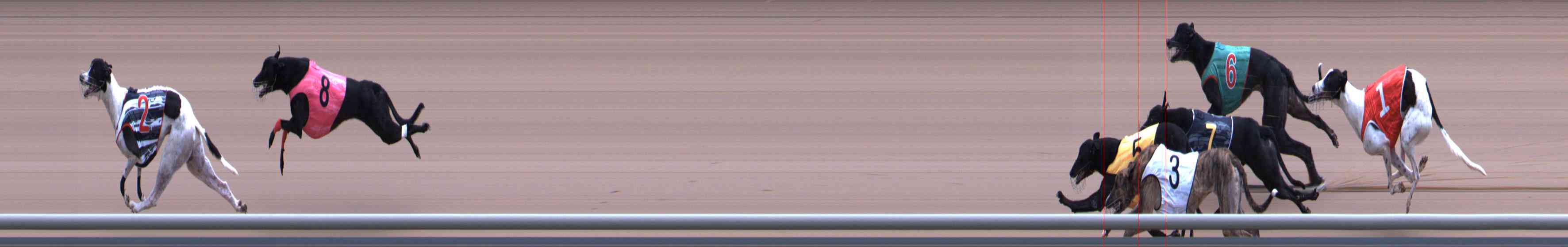 Photo finish for Healesville Race 10