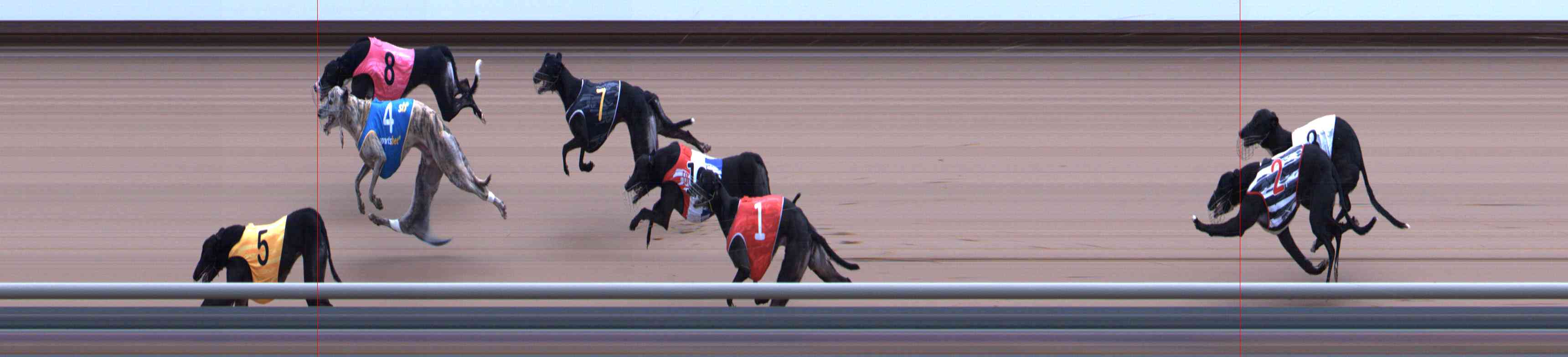 Photo finish for Healesville Race 12