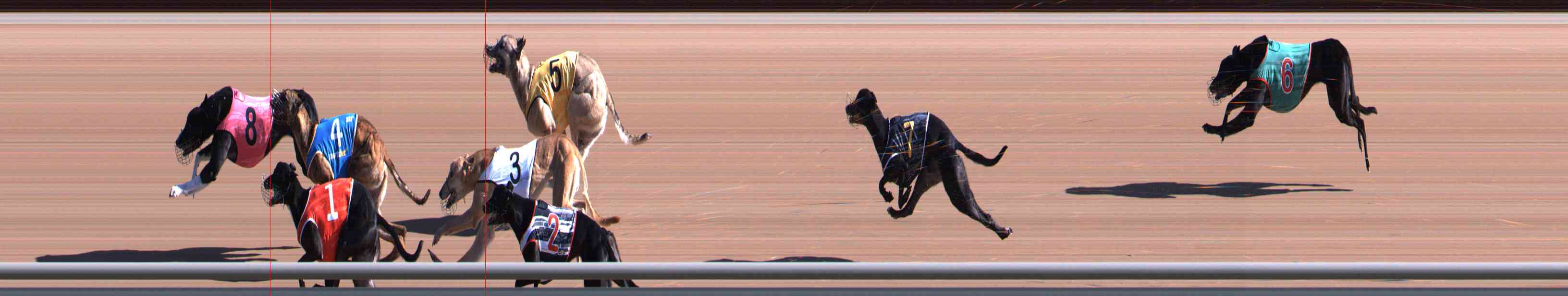 Photo finish for Healesville Race 1