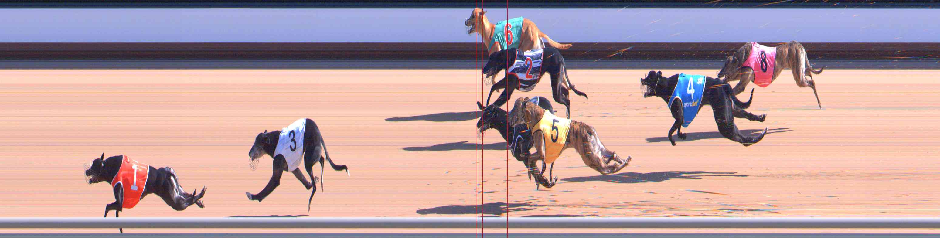 Photo finish for Healesville Race 3