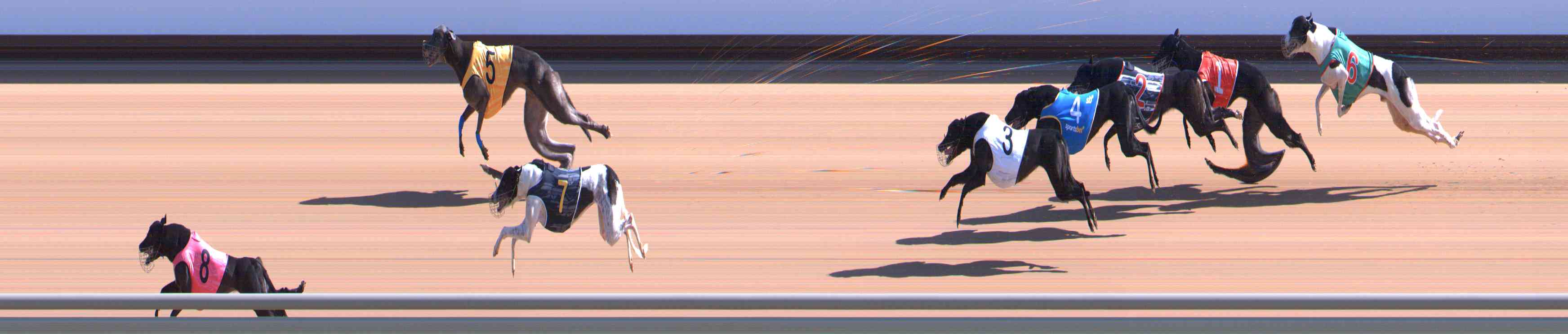 Photo finish for Healesville Race 4