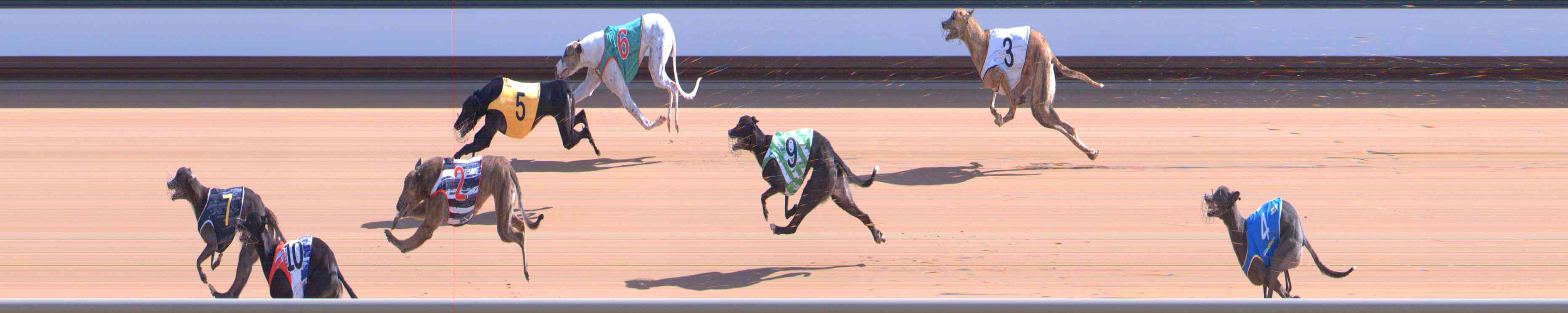 Photo finish for Healesville Race 5