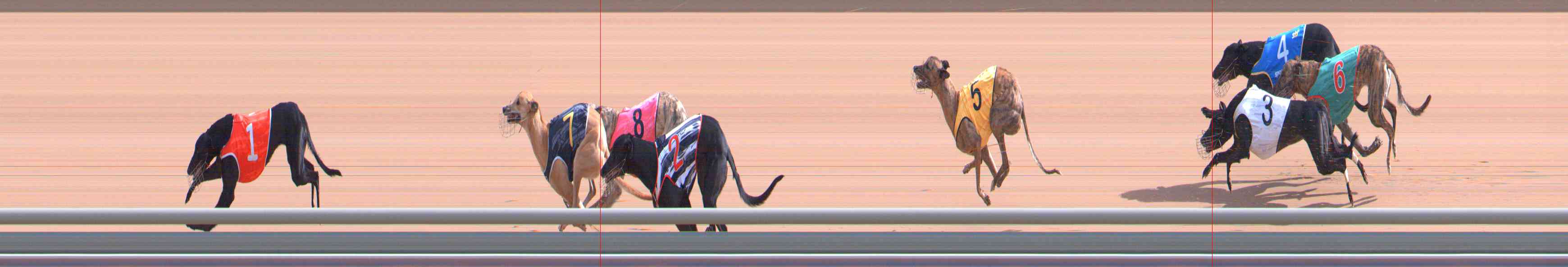 Photo finish for Healesville Race 6