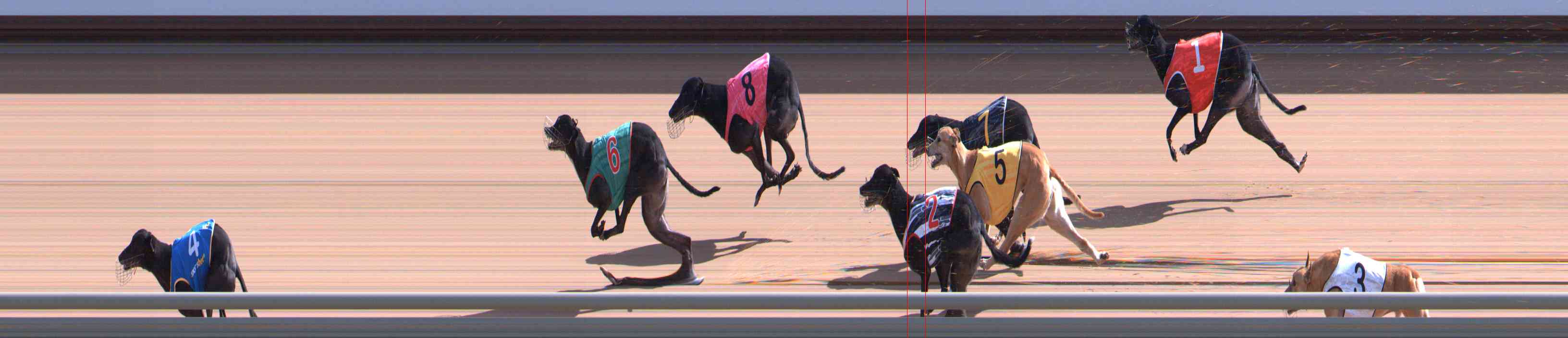 Photo finish for Healesville Race 7