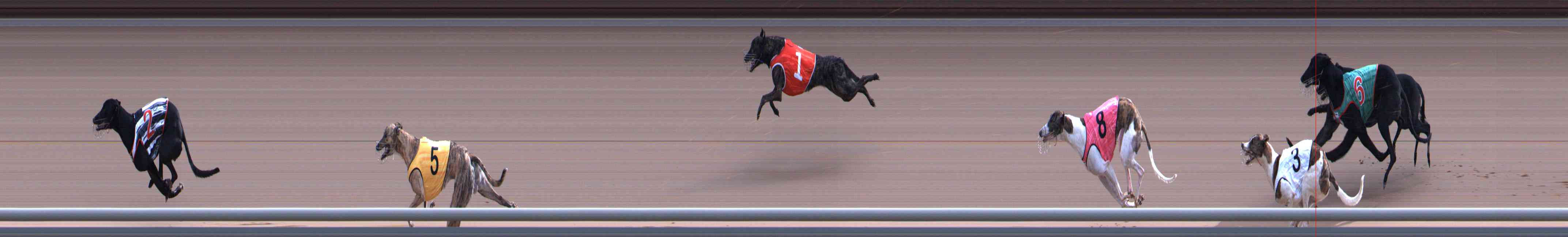 Photo finish for Healesville Race 9