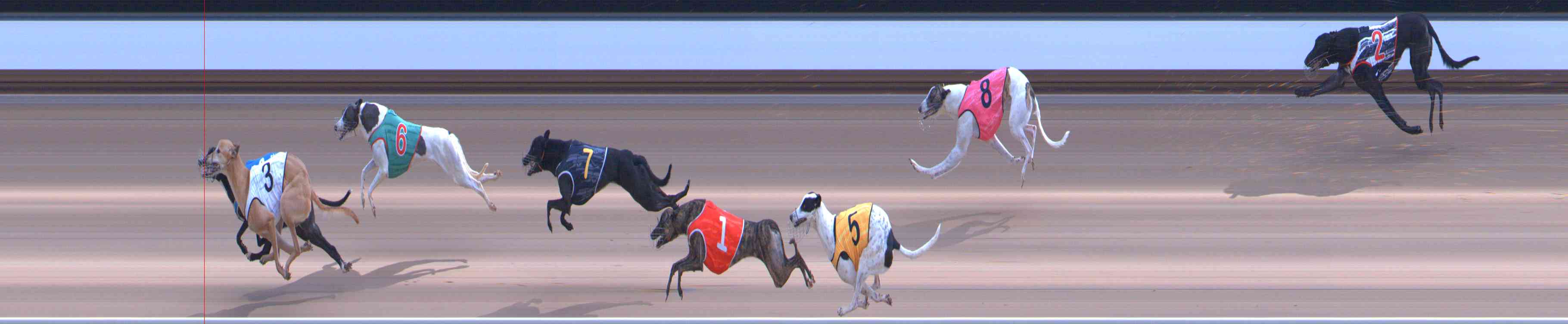 Photo finish for Healesville Race 10