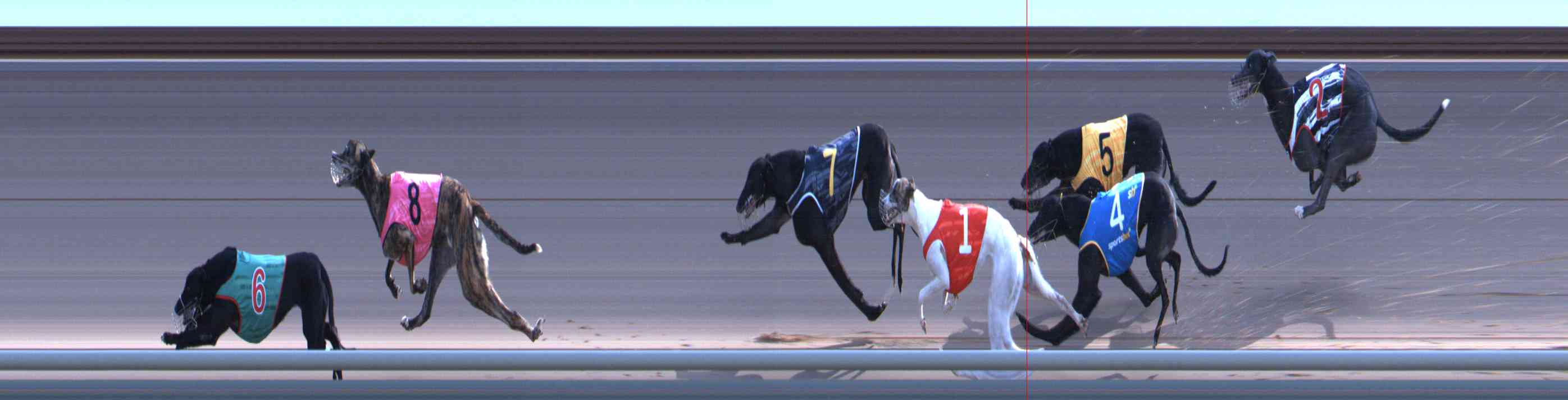 Photo finish for Healesville Race 11