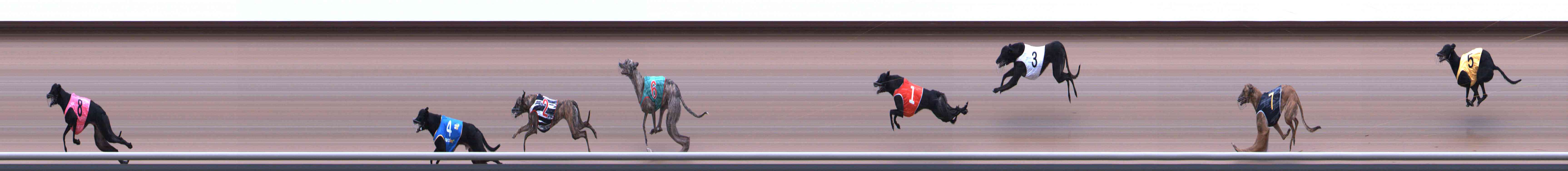Photo finish for Healesville Race 1