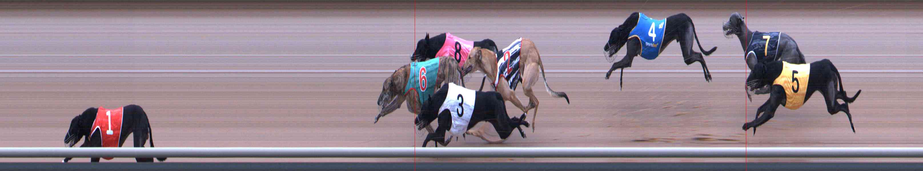 Photo finish for Healesville Race 3