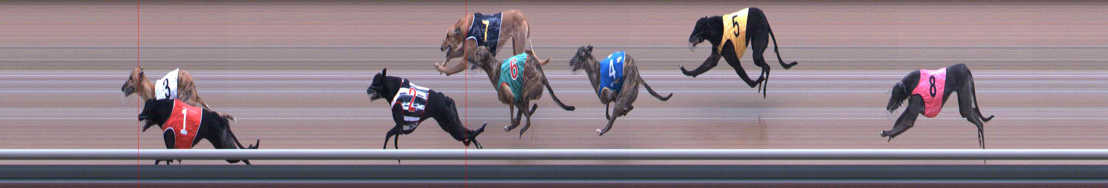 Photo finish for Healesville Race 4