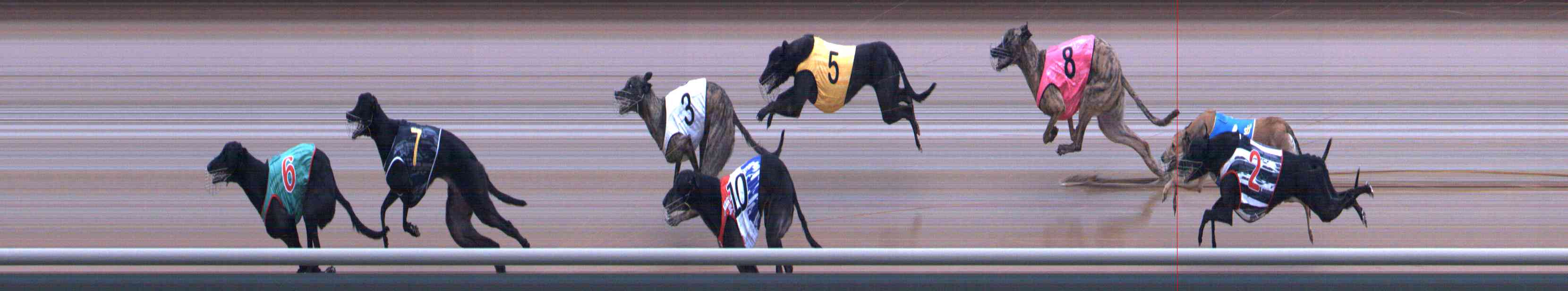 Photo finish for Healesville Race 5