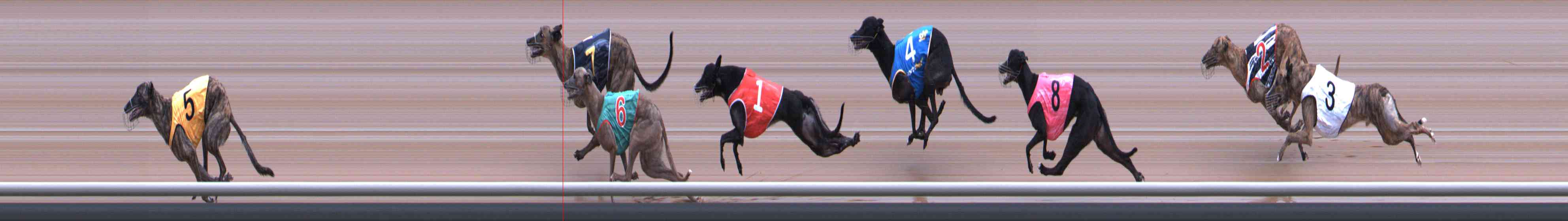 Photo finish for Healesville Race 6