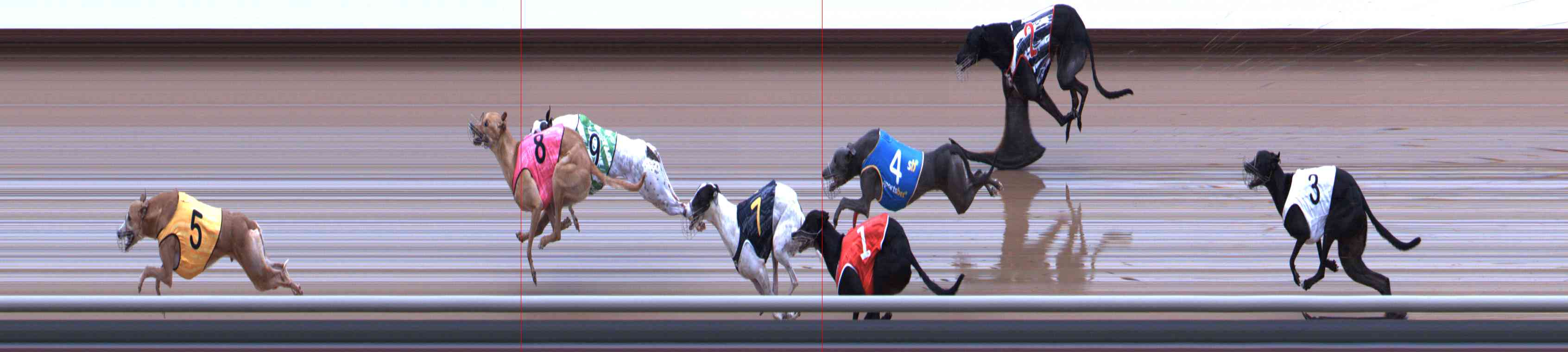 Photo finish for Healesville Race 7