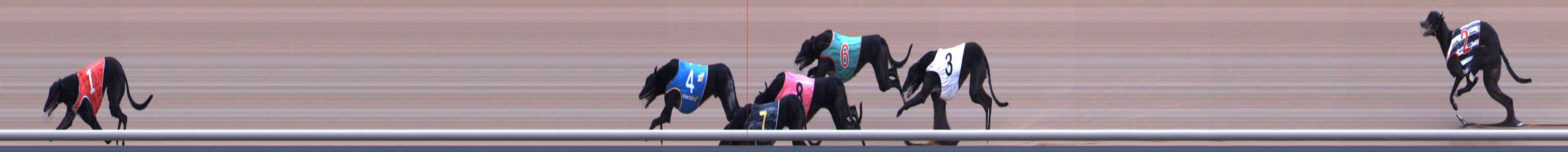 Photo finish for Healesville Race 8