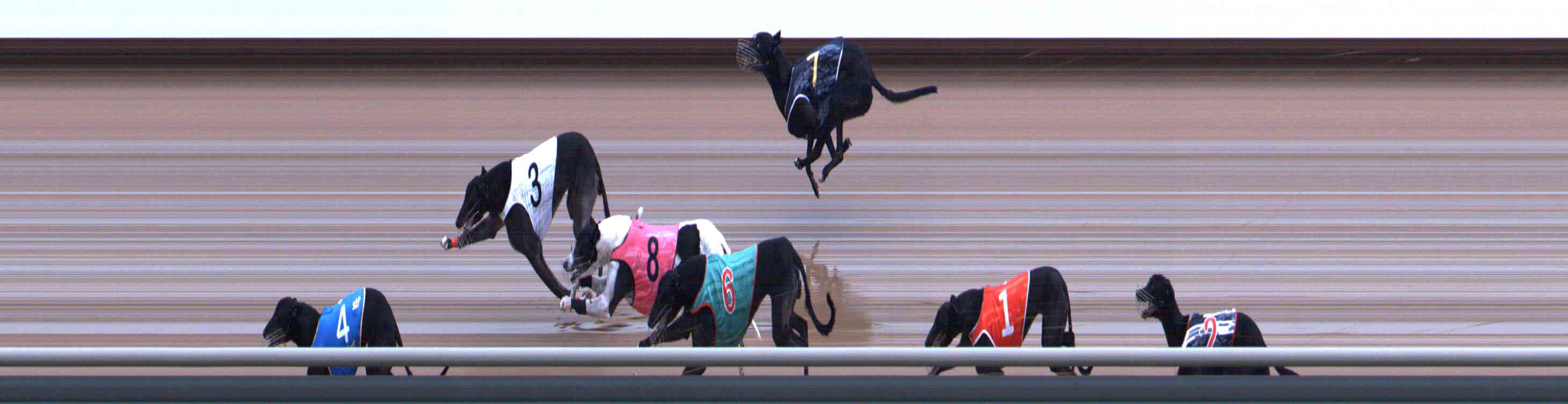 Photo finish for Healesville Race 10