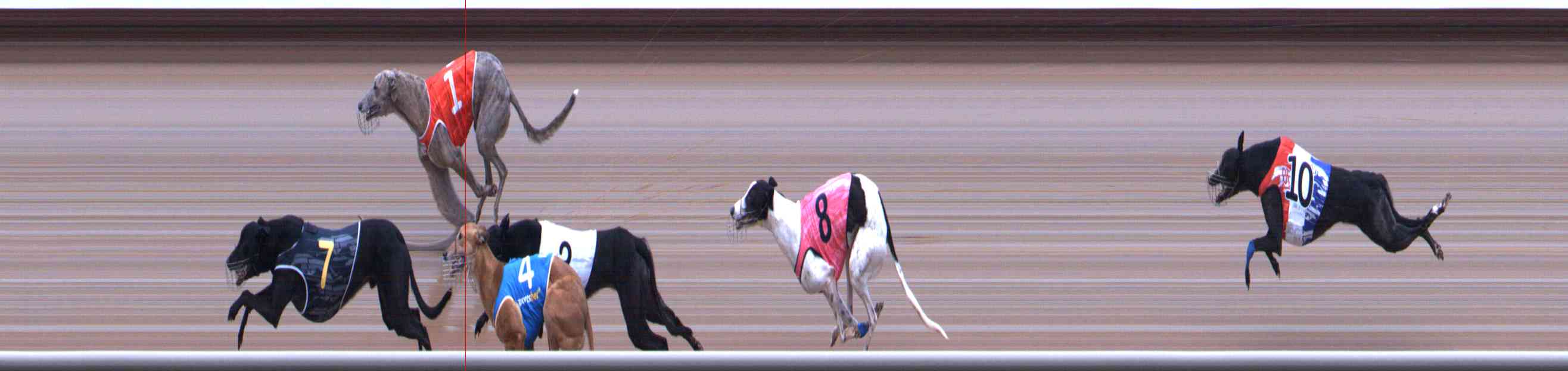 Photo finish for Healesville Race 11