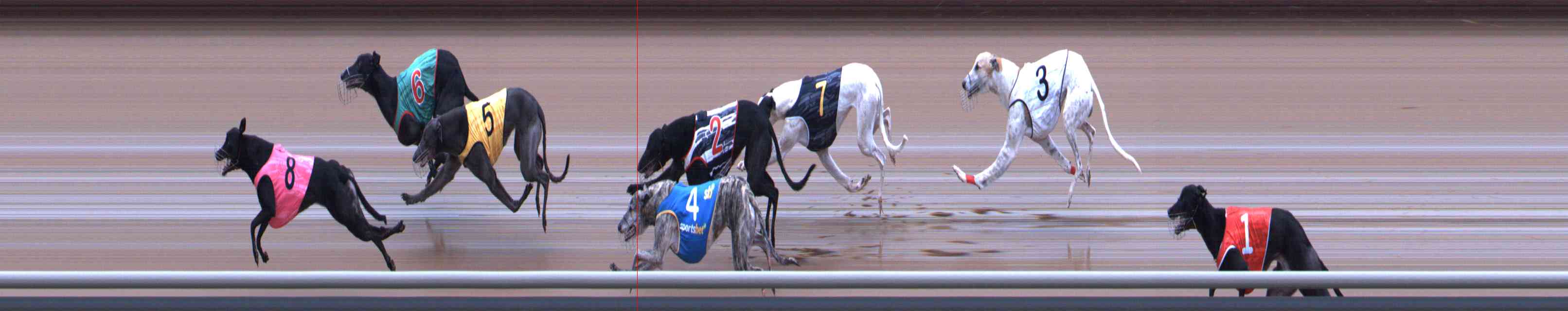 Photo finish for Healesville Race 12