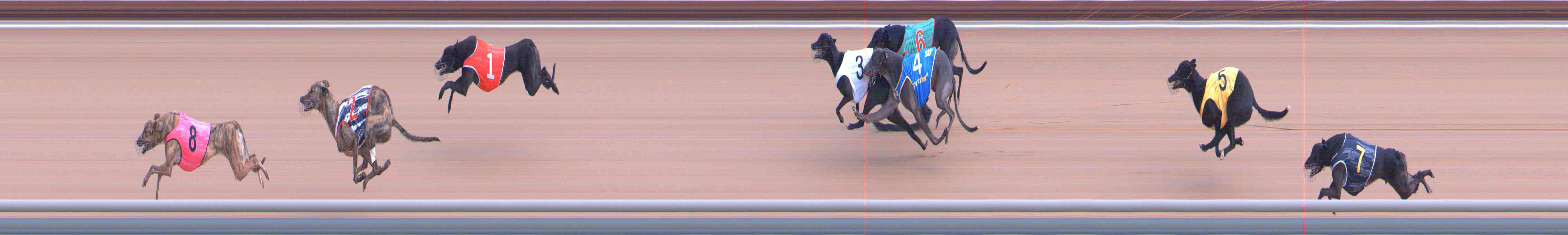 Photo finish for Healesville Race 1