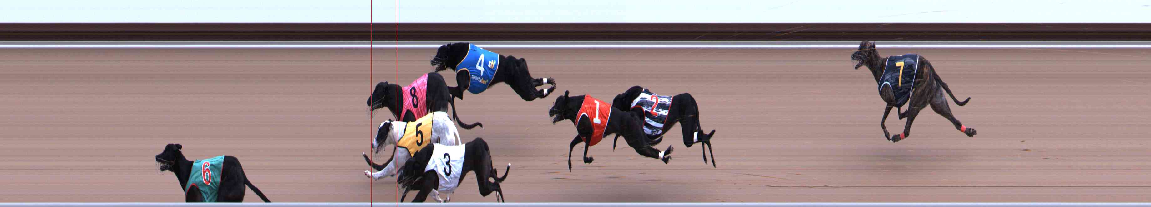 Photo finish for Healesville Race 2