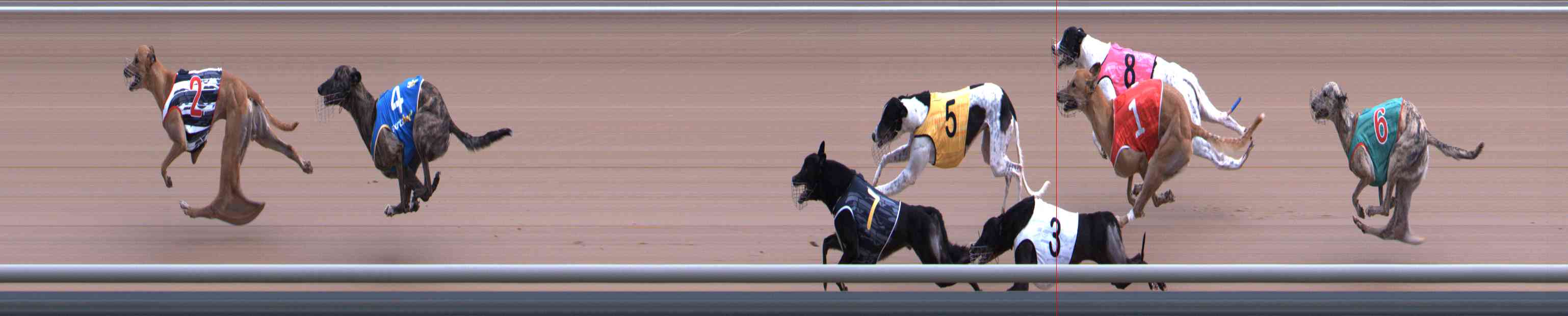 Photo finish for Healesville Race 3