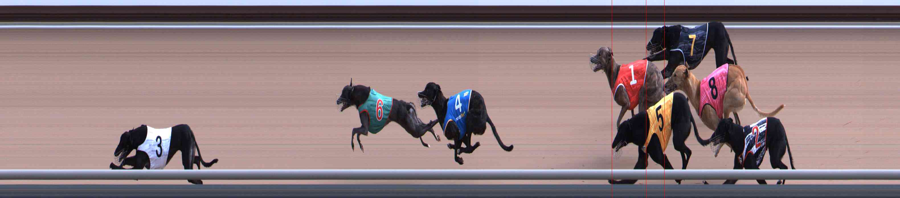 Photo finish for Healesville Race 4