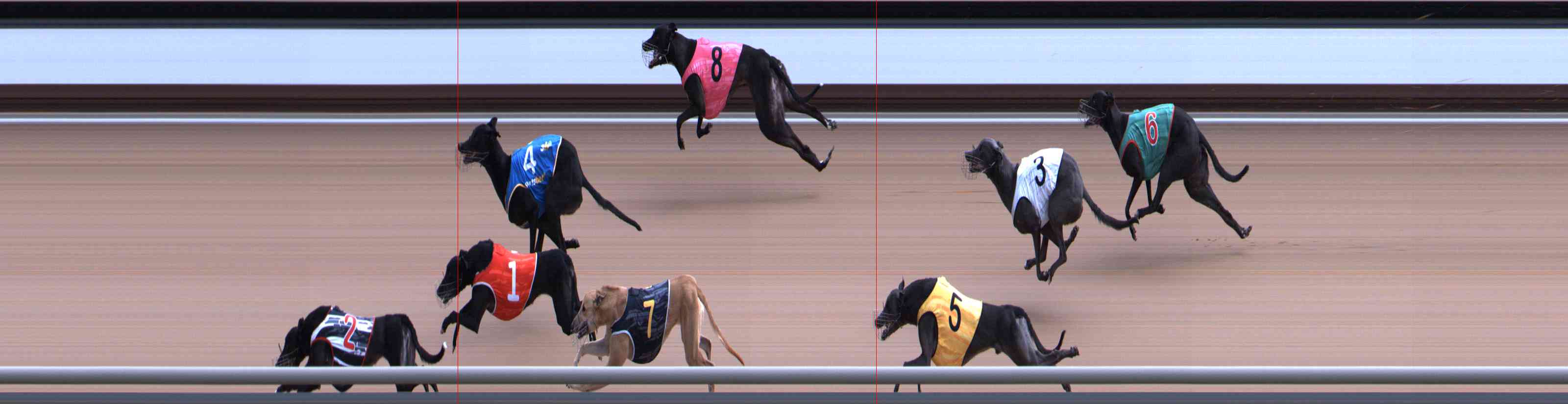 Photo finish for Healesville Race 5