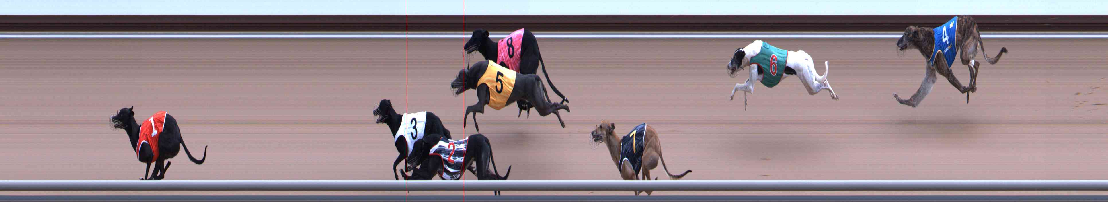 Photo finish for Healesville Race 6