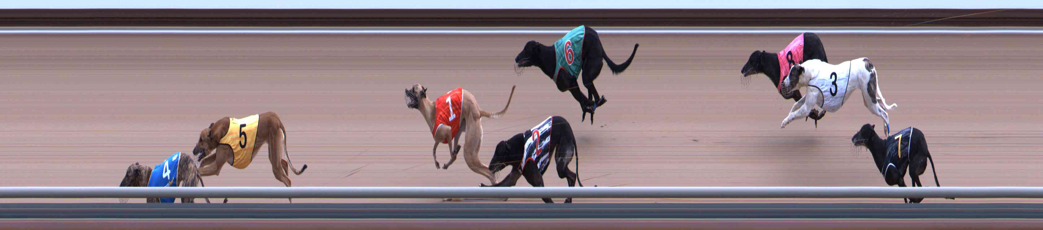 Photo finish for Healesville Race 7