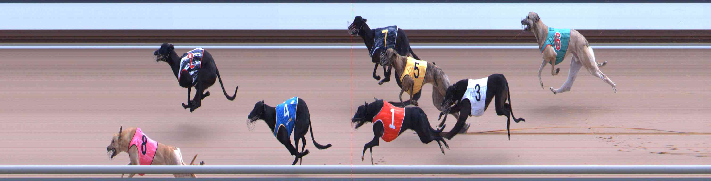 Photo finish for Healesville Race 9